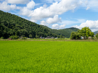 大阪府の能勢町宿野に広がる田園風景