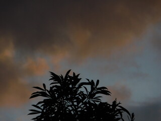 sunset and clouds