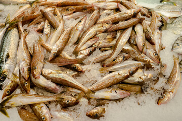 Eastern School Whiting  being sold at Sydney Fish Market at Blackwattle Bay, Sydney, 2020