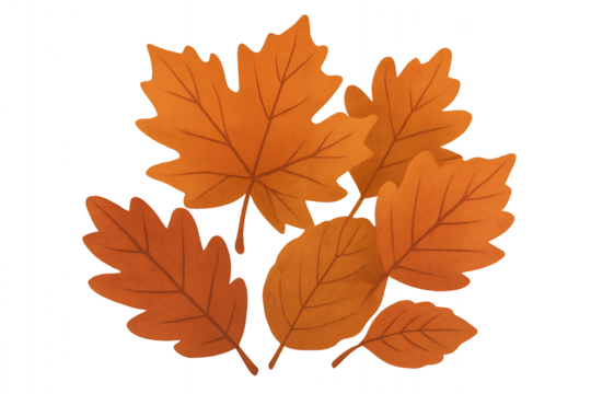 Autumn Leaves Clipart | Cottagecore Style Watercolor Foliage PNG with Transparent Background