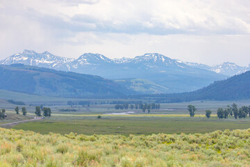 Scenic views in Yellowstone National Park