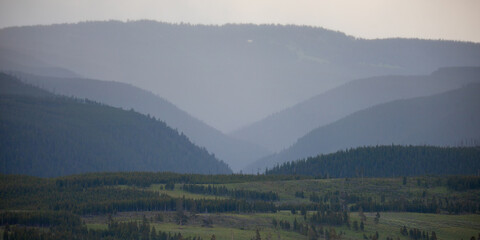 Scenic views in Yellowstone National Park