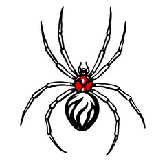 Redback Spider hand drawing vector isolated on white background.