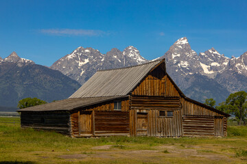 Obraz premium Mormon Row in Grand Teton National Park