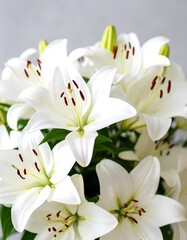 Obraz premium Close-up of a bouquet of pristine white lilies, exhibiting delicate details and soft light