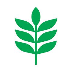 Barley leaf colored icon