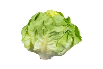 head of fresh green butter lettuce isolated on transparent background