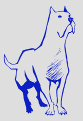 dog vector illustration