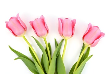 Obraz premium Pink tulips isolated on white for two sides. Flat lay, top view. 3d rendering.