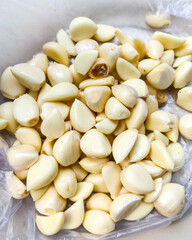 pumpkin seeds background