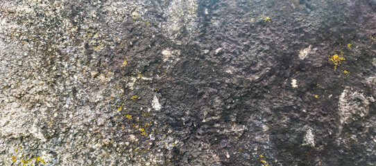 old stone wall