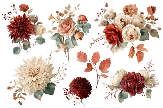 Watercolor Peach Cream Burgundy Roses and Dahlias Flower Collection, PNG