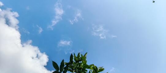 sky and clouds