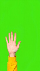 Obraz premium Hand raised against green background
