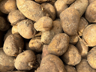 Dry potato tubers.Old potatoes. The view from the top.