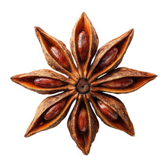 Dried Star Anise Pod Top View with Brown Petals and Seeds Isolated on Transparent background