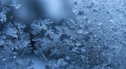 Close-up view of intricate frost patterns on a cold surface, showcasing delicate ice crystals in cool blue tones with stunning natural symmetry.