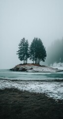 Small island with evergreen trees under a foggy sky, surrounded by partially frozen water and snowy land. Nature scene evokes quiet and solitude