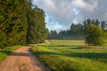 The country road to the Mikhailovskoye estate along the Festive glade on the territory of the Pushkin Museum-Reserve on a foggy summer morning, Pushkinskiye Gory, Pskov region, Russia