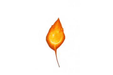 Glowing fire leaf on transparent background symbolizing autumn, danger, global warming, and climate change