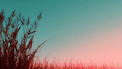 Silhouette of tall grass against a duotone sky. Teal fades to pink creating an ethereal feel. Reeds in the lower left frame the soft gradient and light