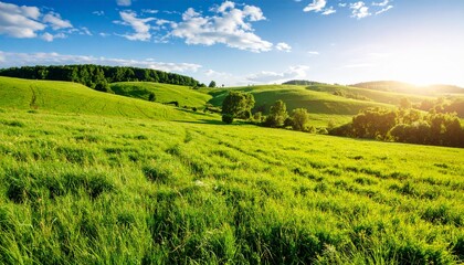 a natural panoramic summer landscape, beautiful green fields