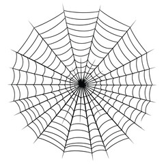 Obraz premium Vector art of a detailed spiderweb pattern isolated on a white background