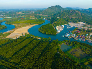 Aerial view tropical green background mangrove forest river to sea bay morning sun rise