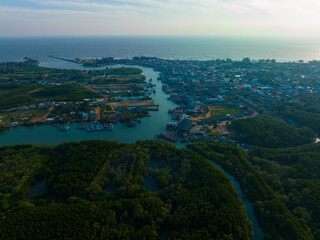 Aerial view tropical green background mangrove forest river to sea bay morning sun rise