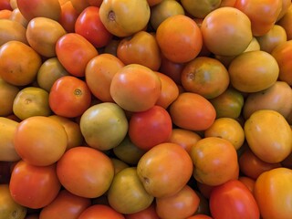 fruits and vegetables