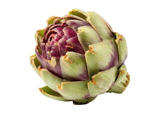 Obraz premium Purple green artichoke bloom with layered petals vegetable, Isolated, Png Transparent Background