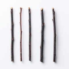 Five small, dark brown twigs arranged vertically on a white background, varying slightly in length and thickness