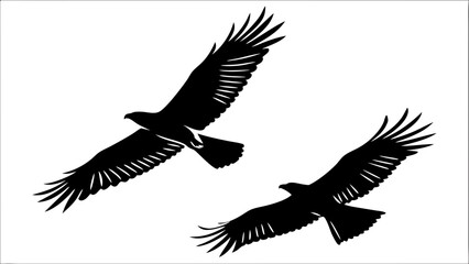 Obraz premium Two Birds Soaring Together Against a Clear Blue Sky in Nature