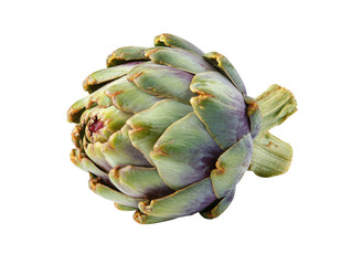 Obraz premium Green artichoke with purple hues isolated on black vegetable food, Isolated, Png Transparent Background