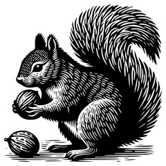 Squirrel holding nuts, b/w illustration. JPEG version.