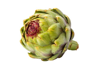 Obraz premium Fresh green artichoke with purple accents vegetable food, Isolated, Png Transparent Background