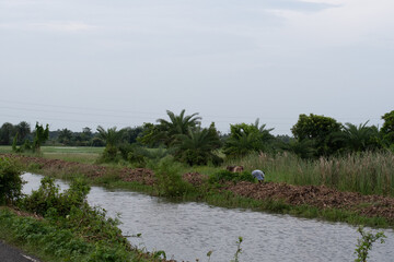 a quiet countryside road alongside a water canal surrounded by tropical vegetation and farmlands...