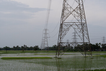 tall metal transmission towers stretch across monsoon flooded paddy fields under an overcast sky 