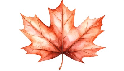 Obraz premium Watercolor maple leaf illustration showcasing autumn shades and intricate detail isolated