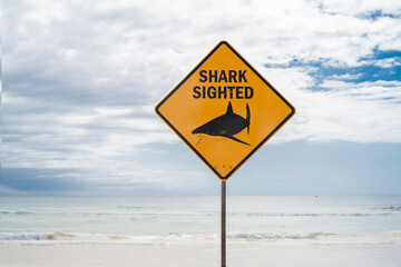 Sydney, Australia - 27 January 2025 : Shark Sighted sign in Manly beach