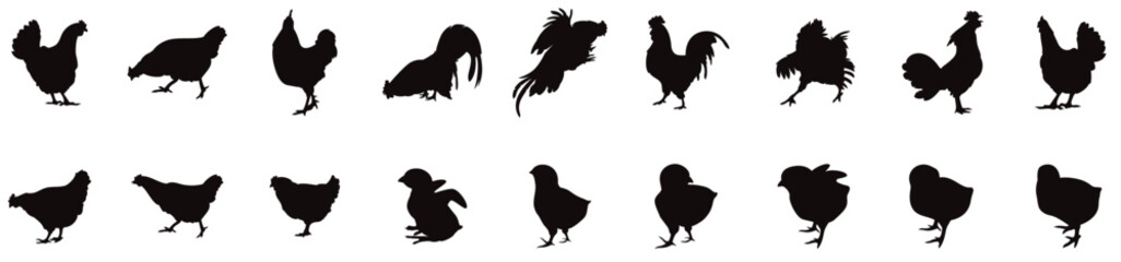 Classic Rooster Silhouette Art in Vector, Chicken Silhouette.
vector illustration