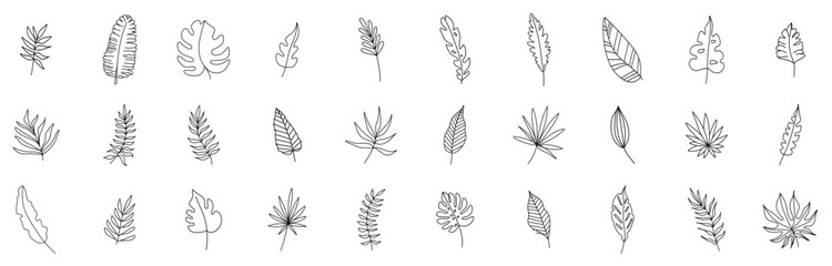 Leaf and Plant Line Icons. Editable Stroke. Pixel Perfect. For Mobile and Web. Contains such icons as Leaf, Plant, Nature, Environment, Ecology, Oak, Palm, Maple, Pine.
exotic growth, leaf icon set.