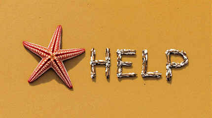 SOS Beach Message with Starfish and Shell Letters on Sand