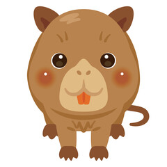 正面から見たヌートアリアのイラスト