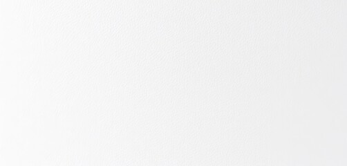 Smooth, unblemished white leather backdrop, subtle texture visible,  studio,  seamless