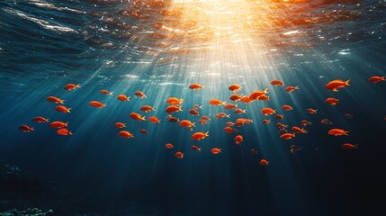 School of vibrant orange fish, illuminated by sunrays filtering through the ocean surface