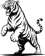 tiger vector illustration