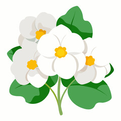 yellow flower isolated on white background