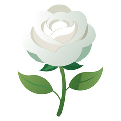 vector illustration of rose