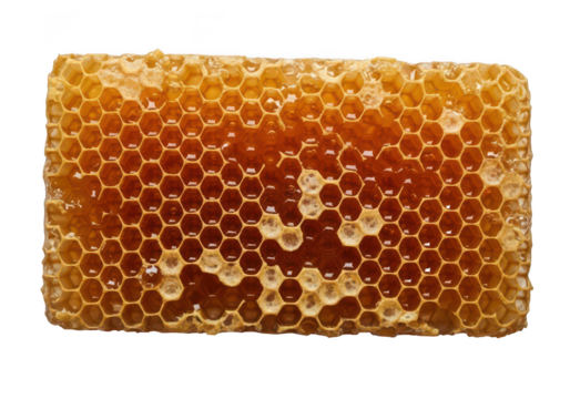 Close up of a honeycomb filled with golden honey against a bees apiary